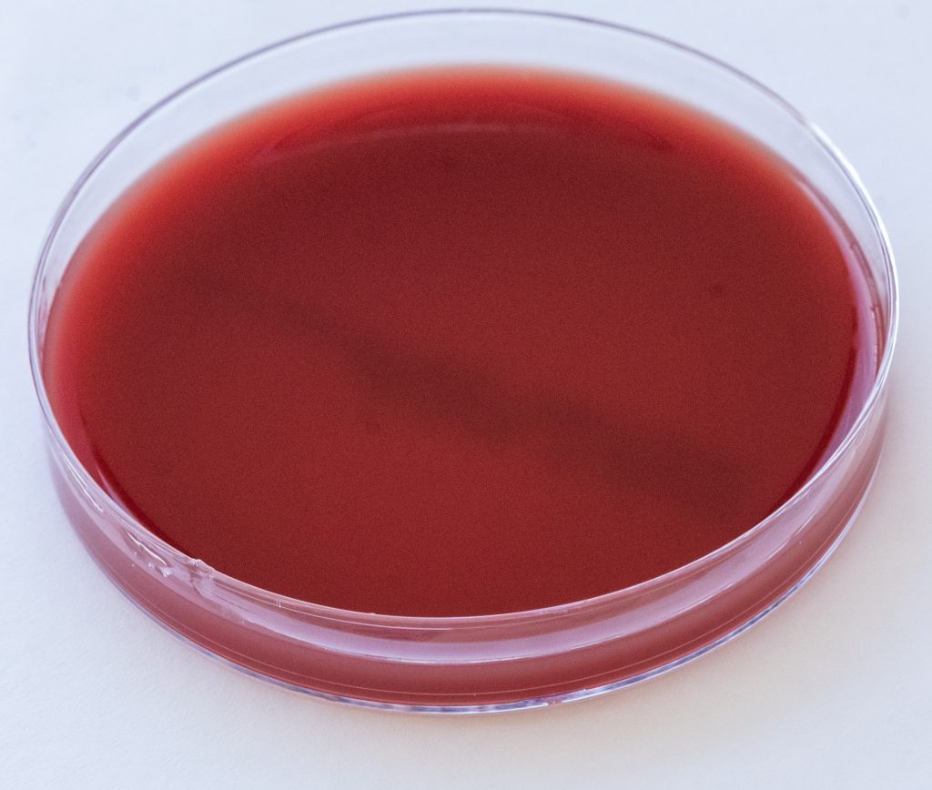 Placa Ágar Sangue/ Ágar Chocolate com Vitox 2 90MM Plastlabor