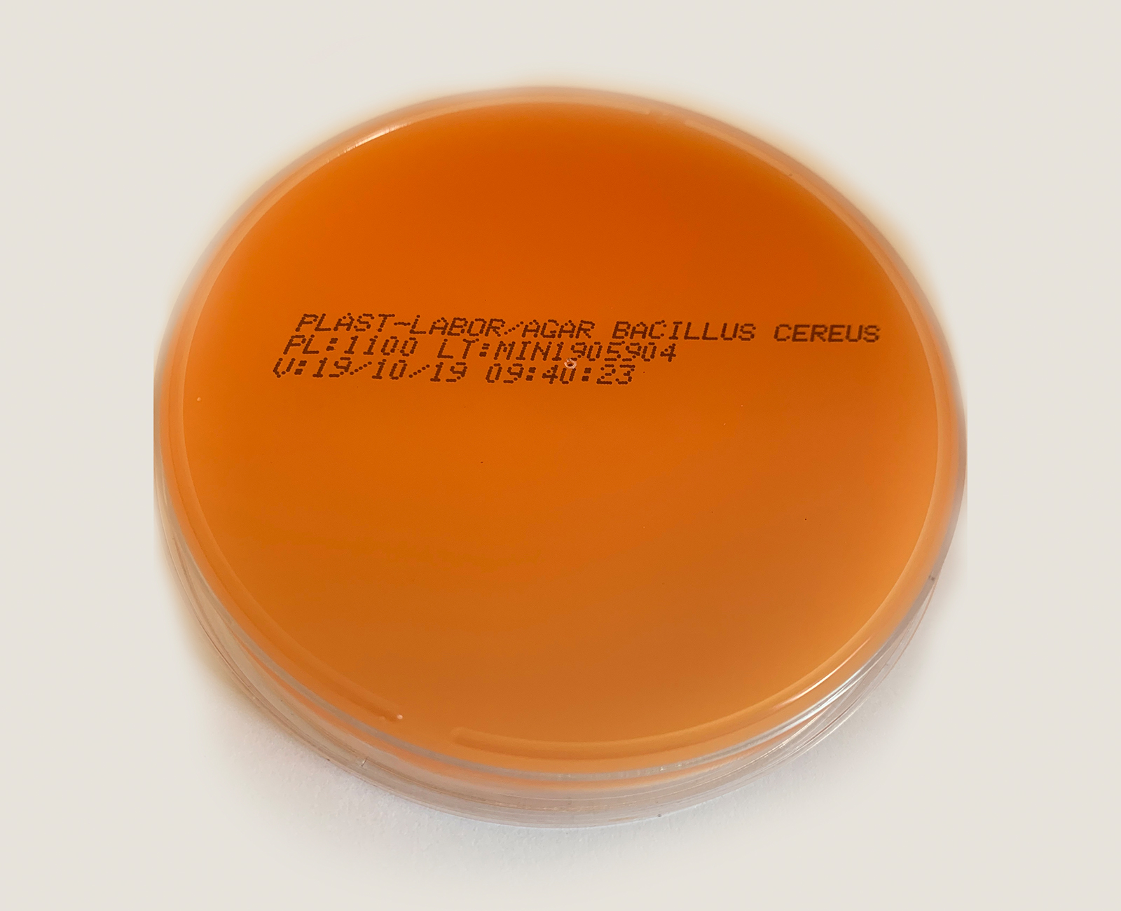 Bacillus Cereus Agar