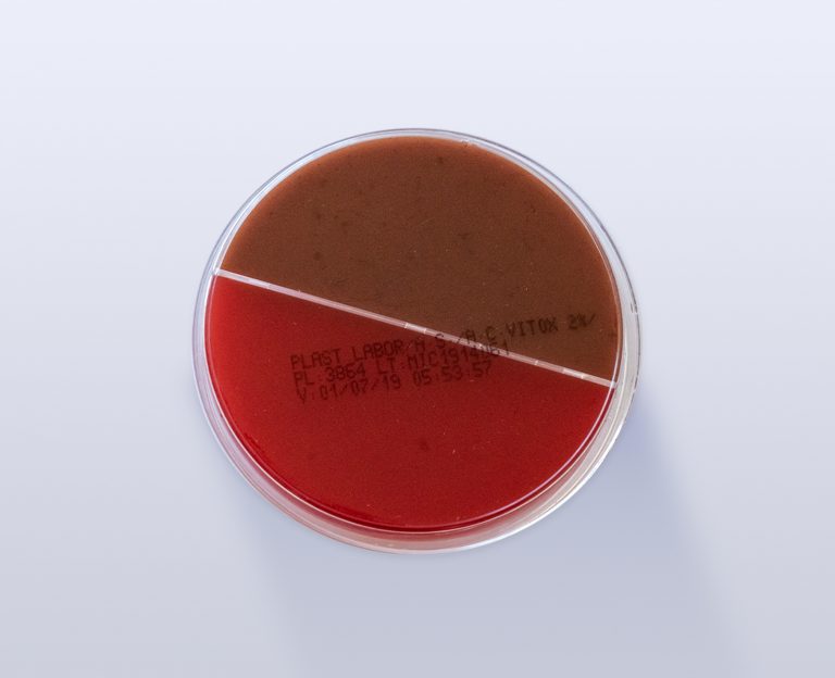 Placa Ágar Sangue de Carneiro Ágar Chocolate com Vitox 90MM