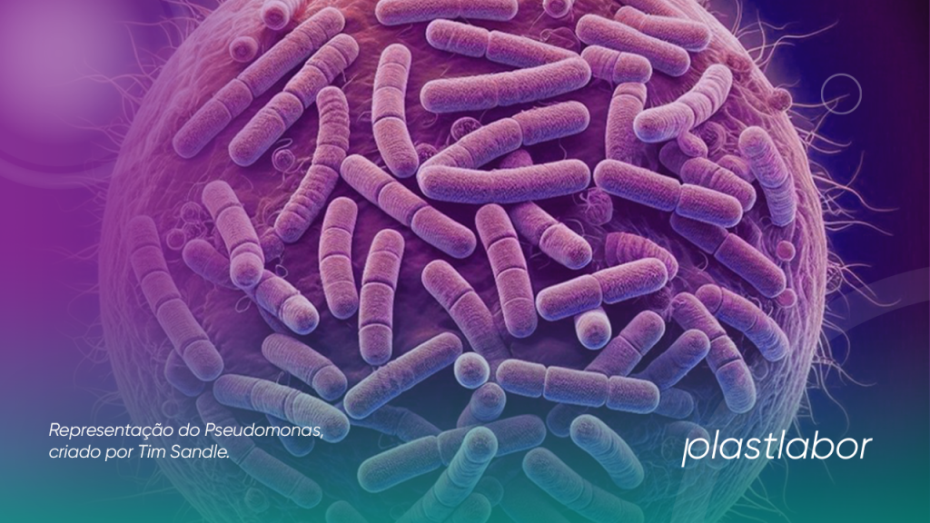 Atualizações na Microbiologia: Reclassificação de Pseudomonas ...